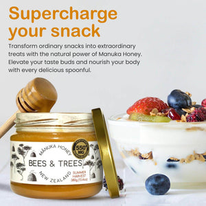 Mānuka Honey High-Activity 550+ MGO/kg - Bees & Trees Manuka Honey