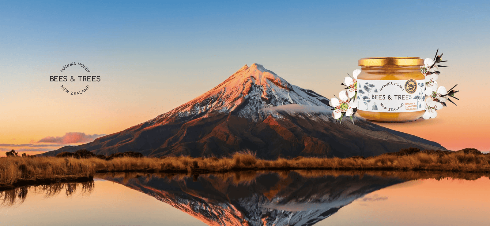 Why Are Manuka Honey's Flavonoids & Polyphenols Beneficial? - Bees & Trees Manuka Honey