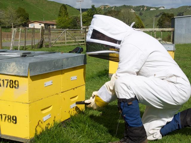 Beekeeper tracking hives