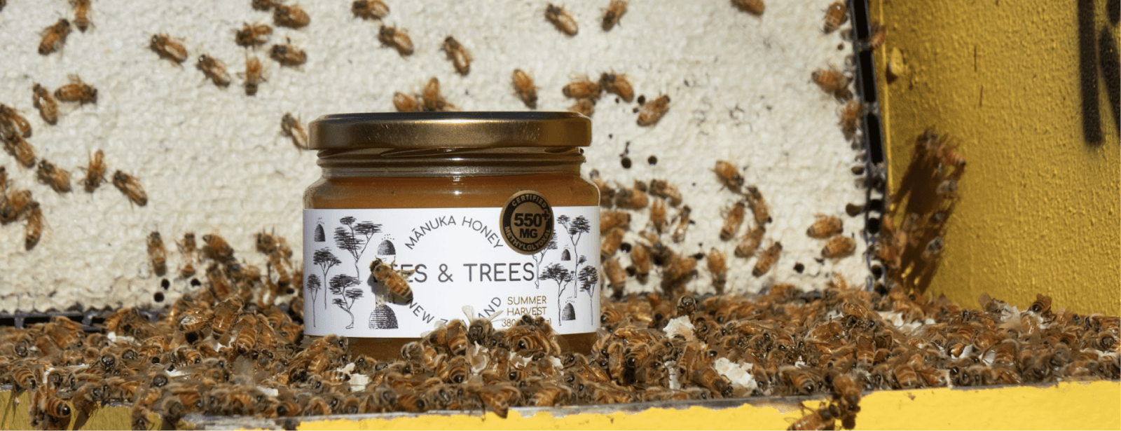 Which is the Best Manuka honey? - Bees & Trees Manuka Honey