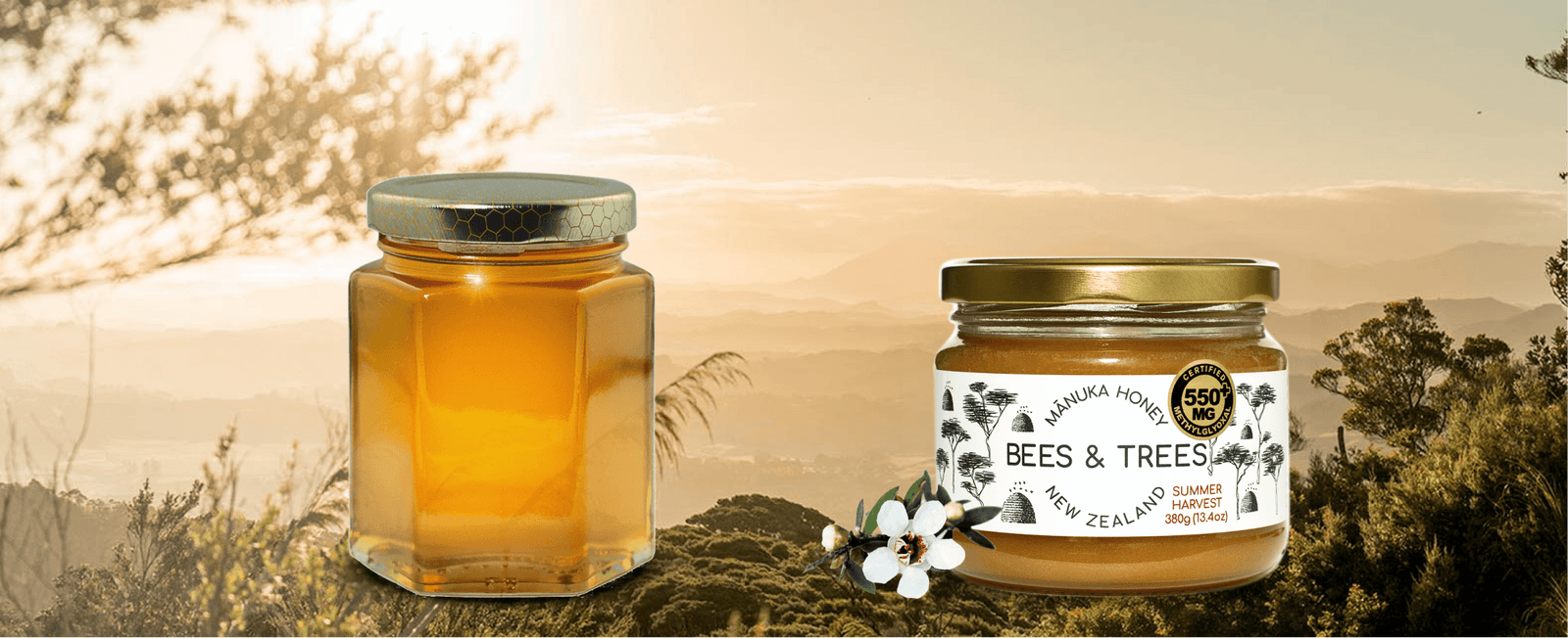 Manuka Honey vs. Regular Honey: 10 Key Differences That Might Surprise You - Bees & Trees Manuka Honey