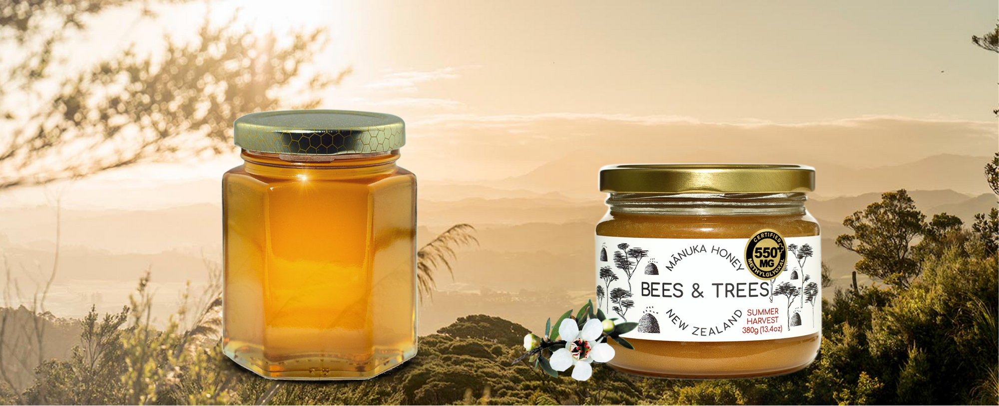 Manuka Honey vs. Regular Honey: 10 Key Differences That Might Surprise You
