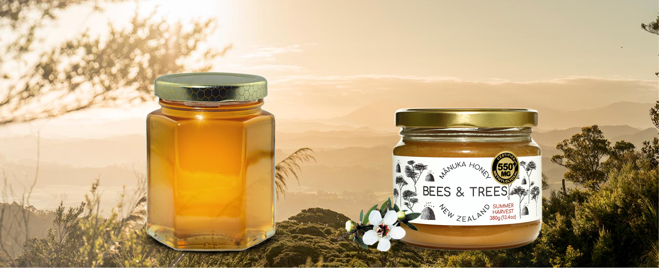 The Amazing Health Benefits of Manuka Honey – Pure Craft