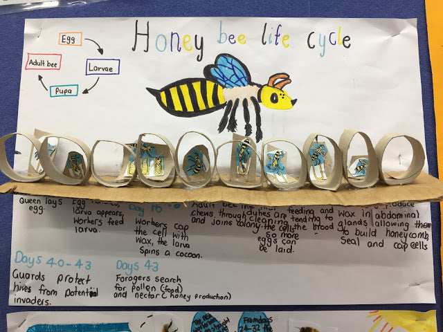 Toko School Bee Art