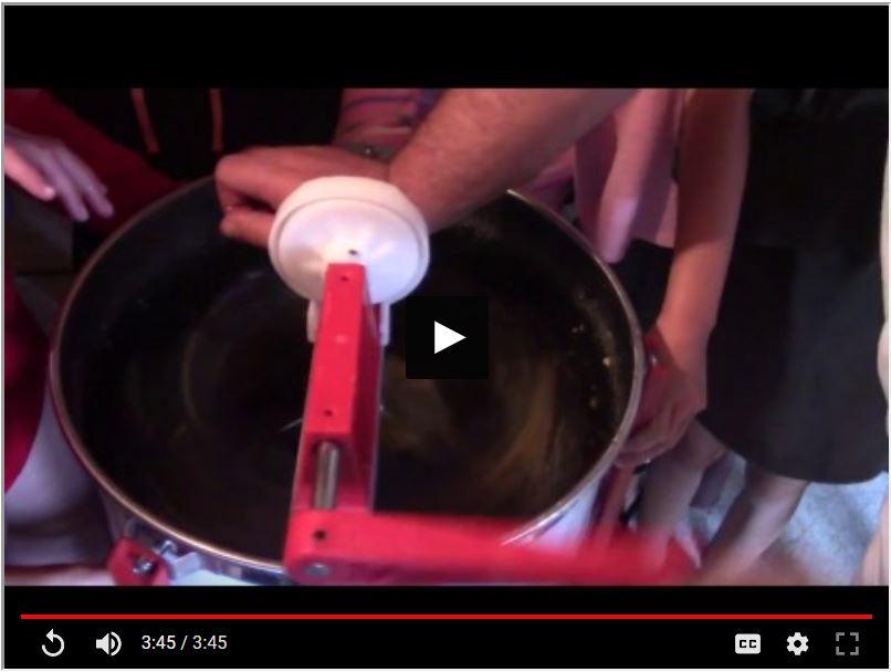 Toko School Honey Extraction!