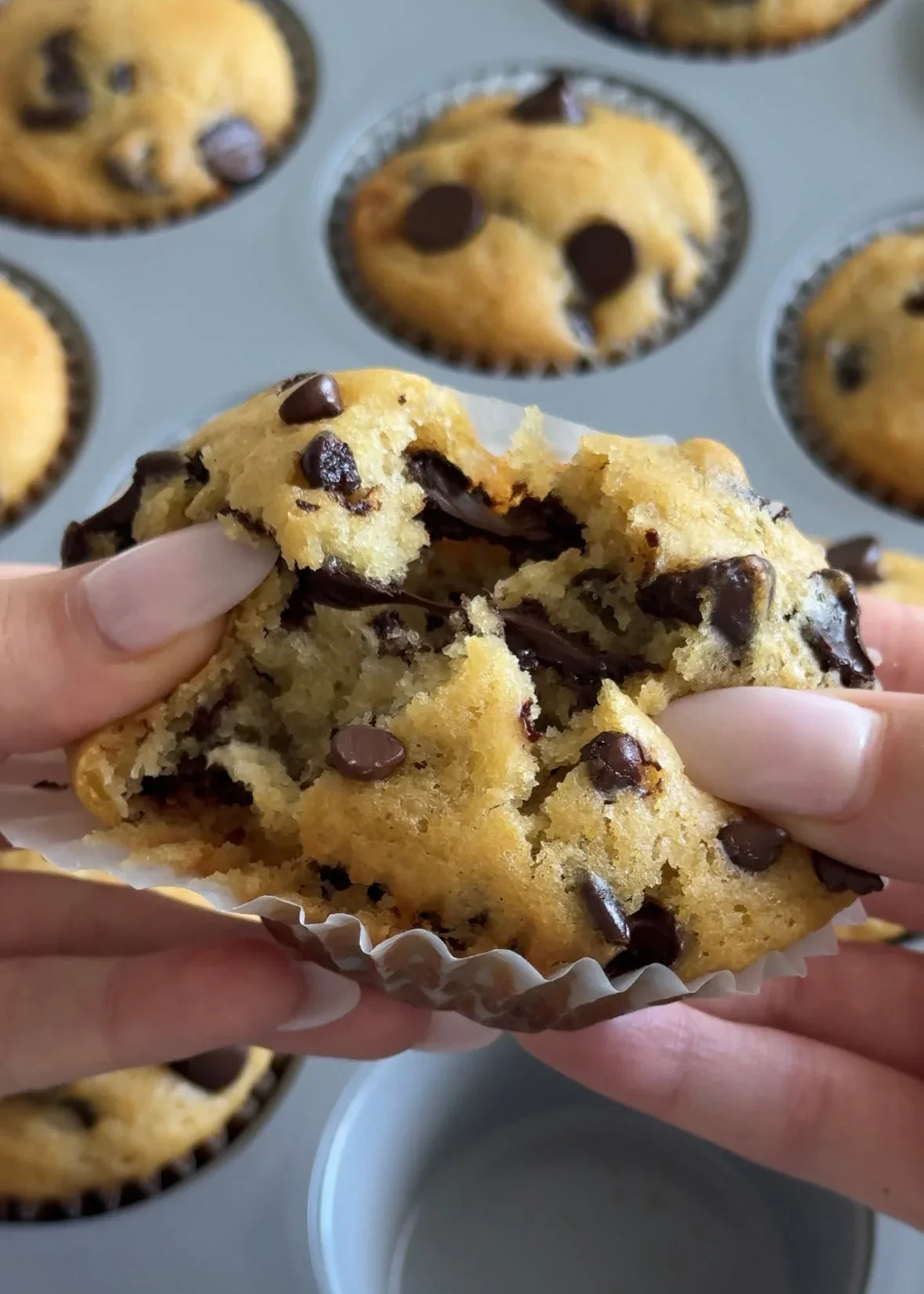 Chocolate Chip Muffins with Mānuka Honey