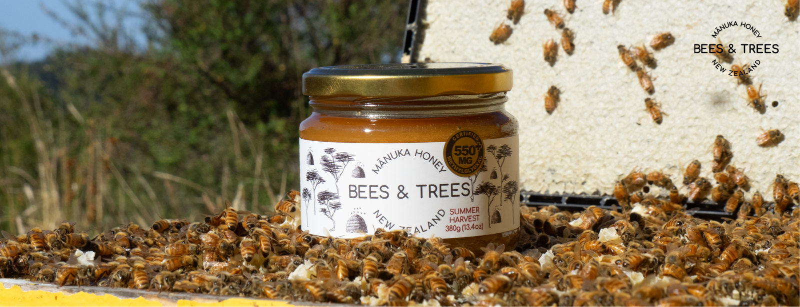 What Is MGO in Manuka Honey? Meaning, Label Numbers, Benefits & How to Choose