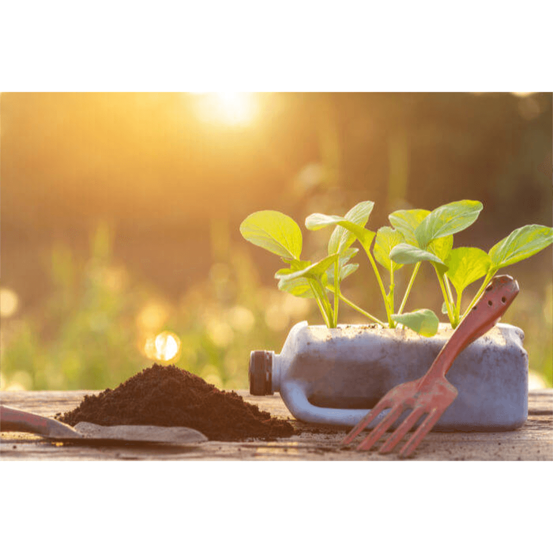 Good health is at your fingertips