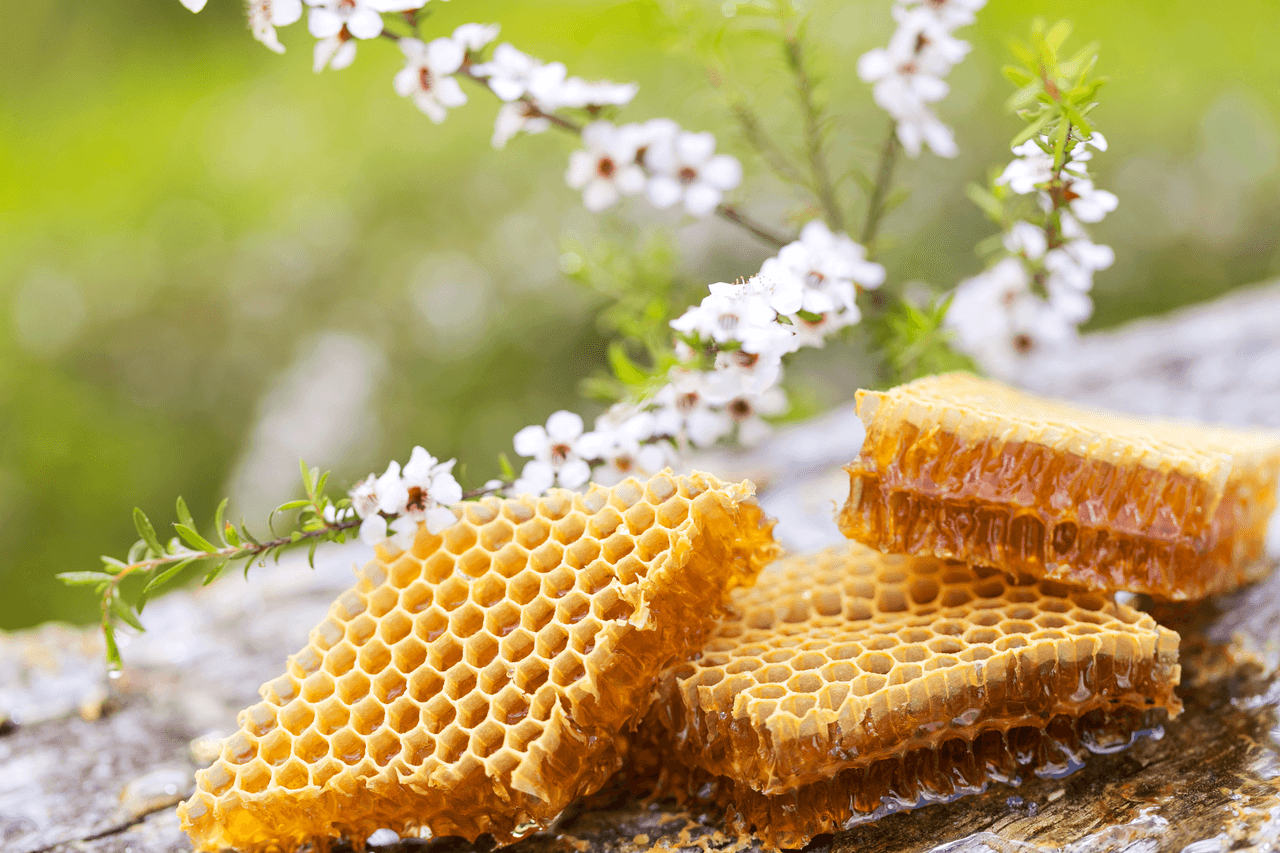 Caring for Nature's Gifts