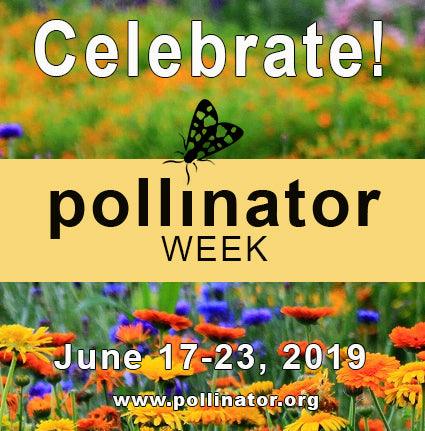 It's National Pollinator Week!