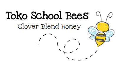 Toko School Bees Clover Blend Honey