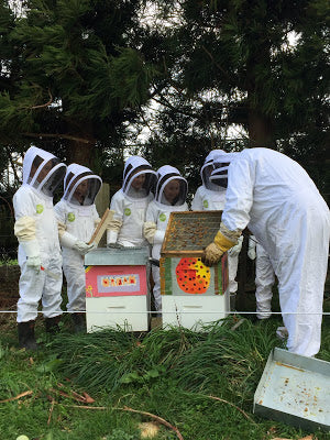 Toko School Children learning about beekeeping