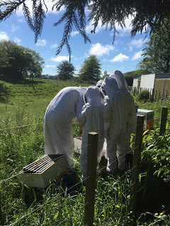 Toko School Children learning about bees