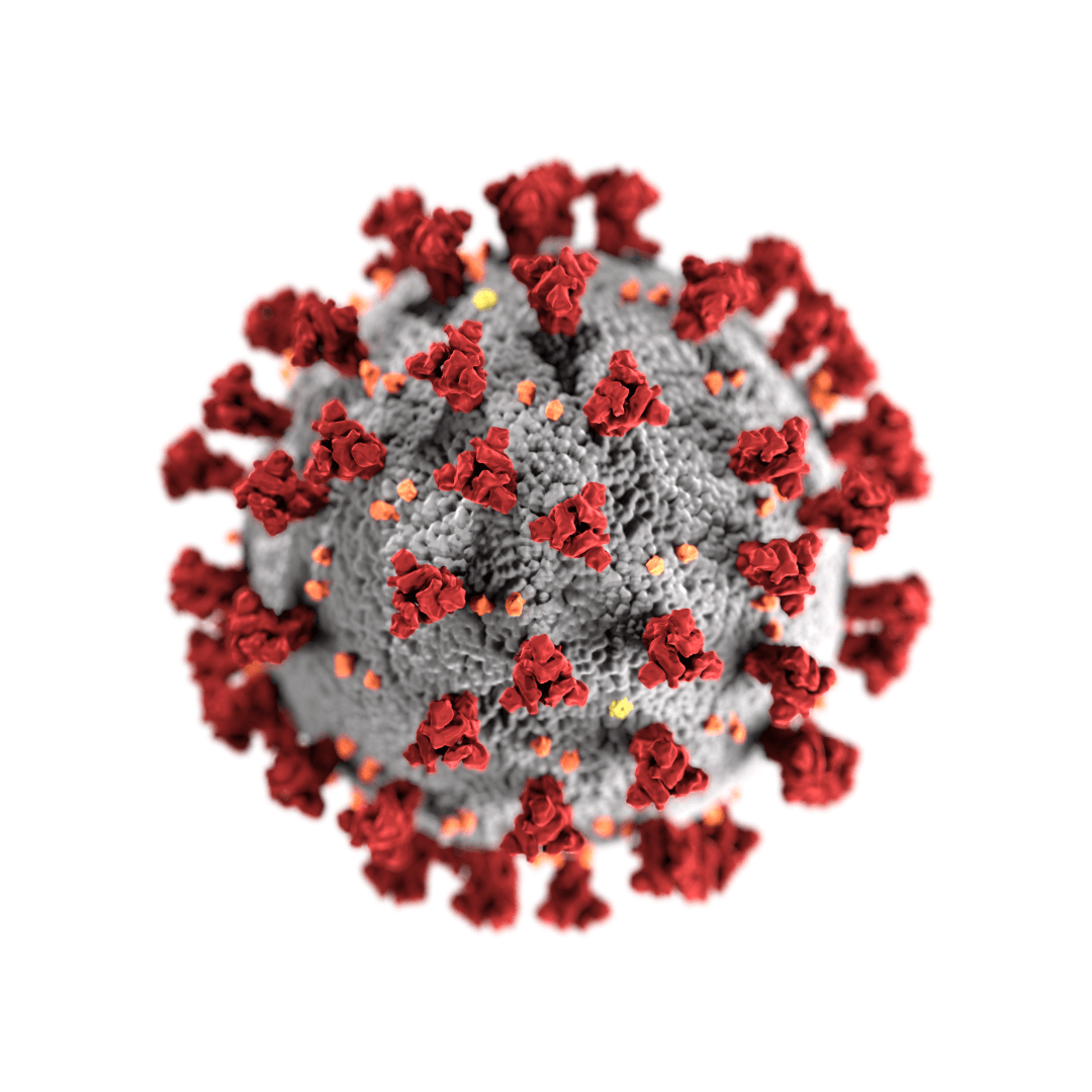 COVID-19 and Manuka Honey