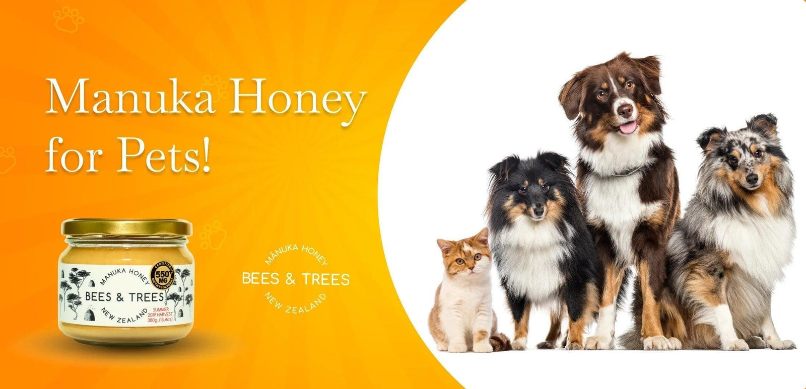 Manuka Honey for Pets!