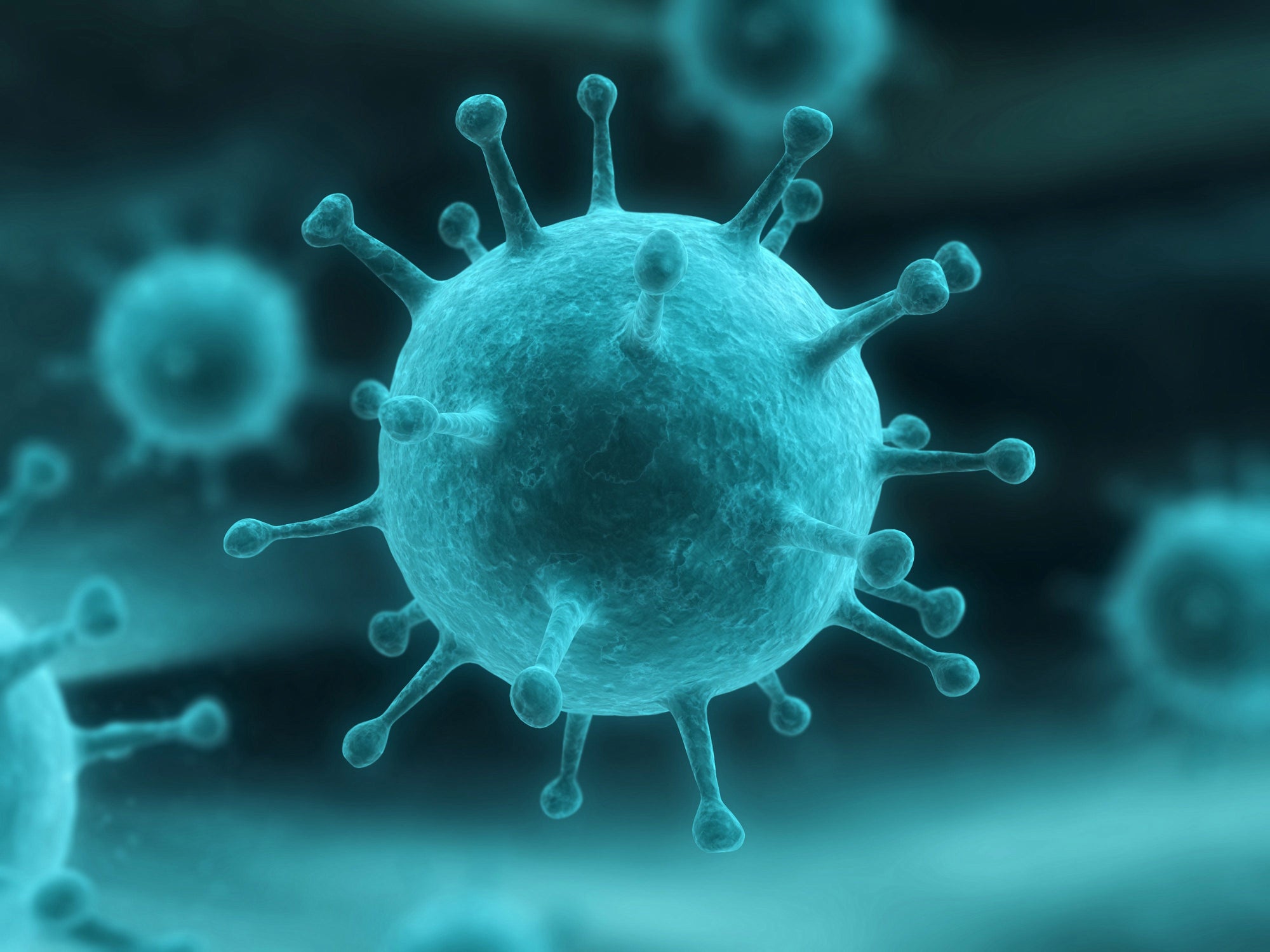 Germ