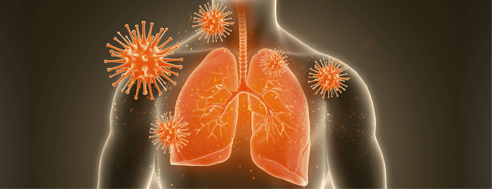 Manuka Honey Research for Cystic Fibrosis - Bees & Trees Manuka Honey
