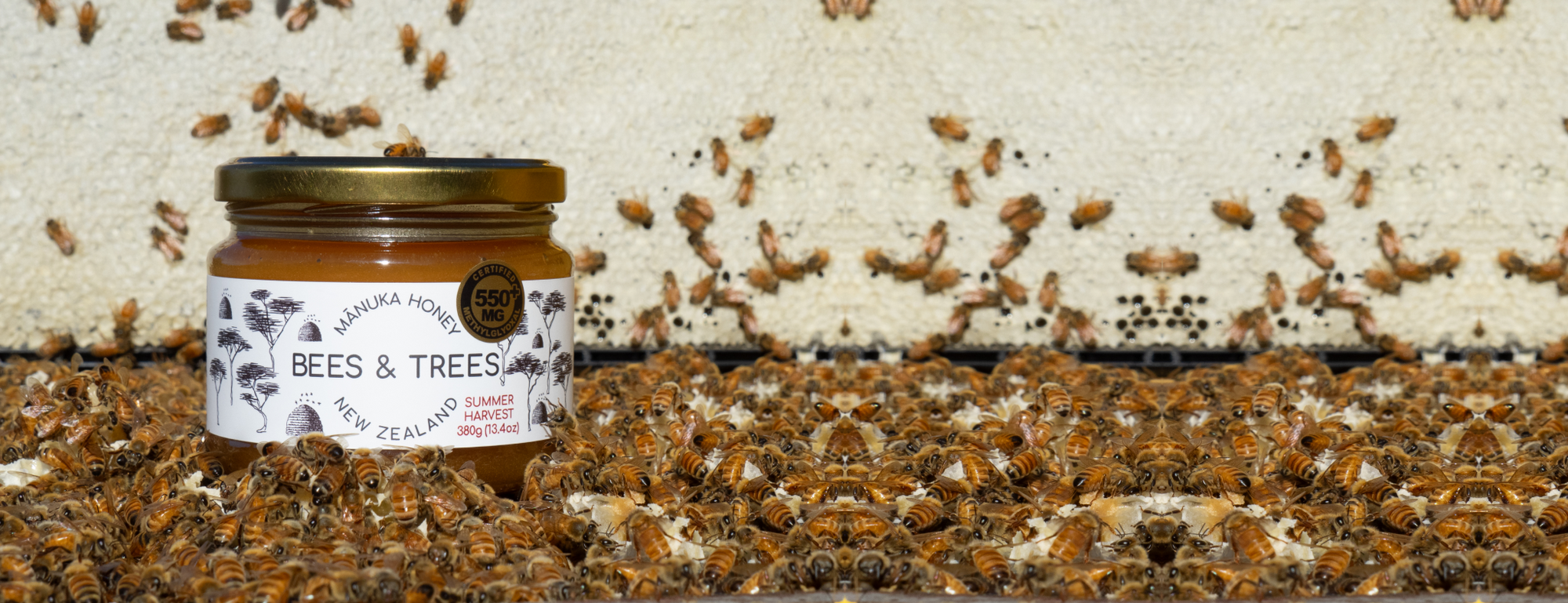 What is Manuka Honey? + 7 Incredible Benefits