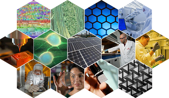 New Zealand Quality, Protection and Assurance - Bees & Trees Manuka Honey