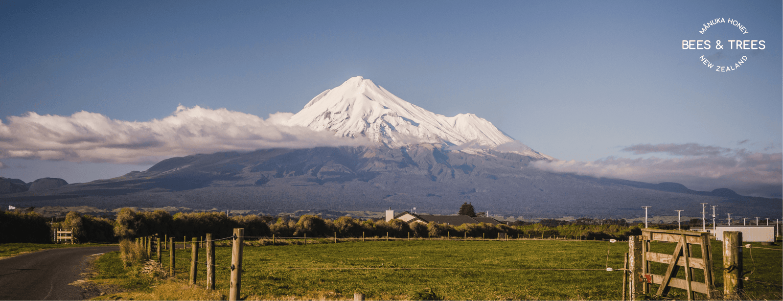 The Shocking Sexual Benefits of Manuka honey - Bees & Trees Manuka Honey