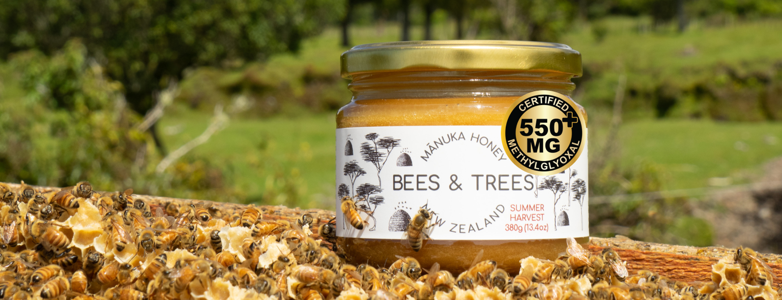 Bees & Trees Manuka Honey Jar