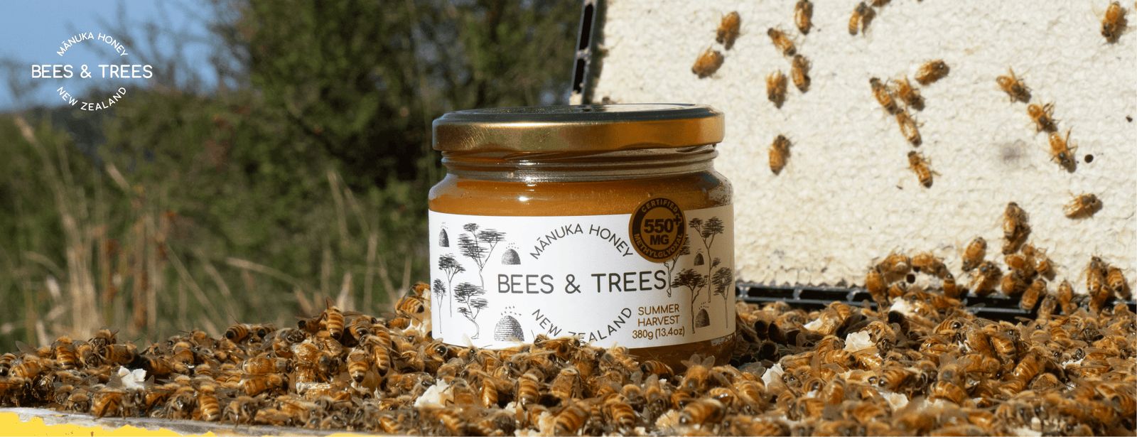 Benefits of Storing Manuka Honey in a Glass Jar - Bees & Trees Manuka Honey