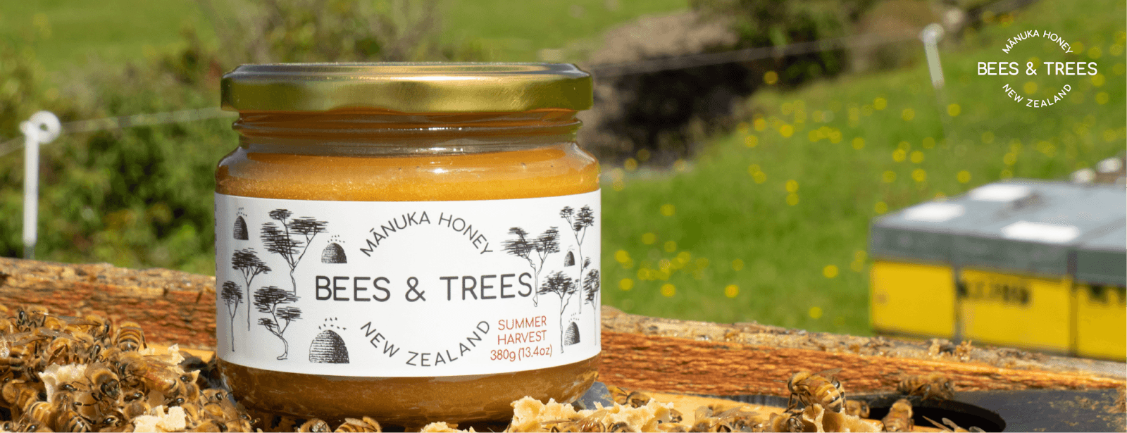 Manuka Honey for Dogs: The Ultimate Guide to Healing, Digestion, and Overall Wellness - Bees & Trees Manuka Honey