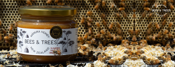 Mānuka Honey for Diarrhea Recovery